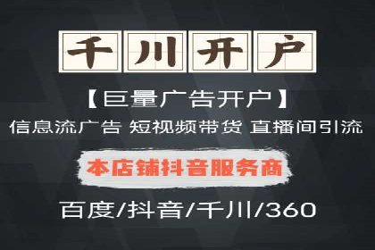 某某SEM服务公司成功案例：从数据出发的营销策略